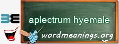 WordMeaning blackboard for aplectrum hyemale